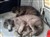 20130713_193603.jpg