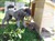 20130925_131910.jpg