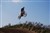 DSC_0448.JPG