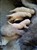 20141130_141940.jpg