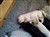 20141130_143212.jpg