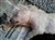 20141130_144558.jpg